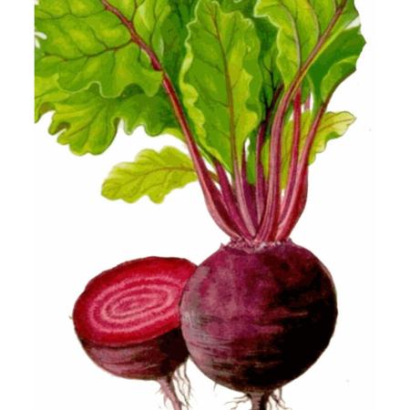 0bfe043d-bb4f-4881-b102-26441796e847