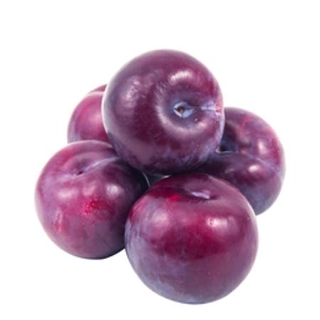 0e17853d-ed78-412a-a3ae-bac963f59118