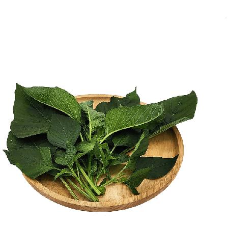 0f4f0b4f-bbf7-4f5c-a1a9-72d4b8f95678