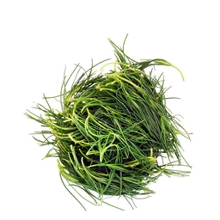 101cf620-ff09-4977-bdc1-bb40357c8f05