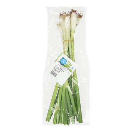 16fed1af-fe67-40b0-a8ca-2191fd0c2104