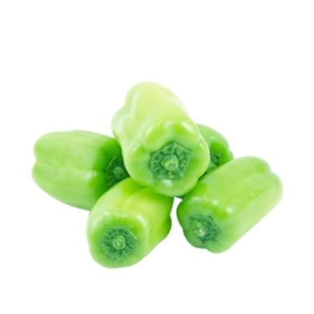 19c1e736-72b0-47e9-90d4-8eaadd86fea7