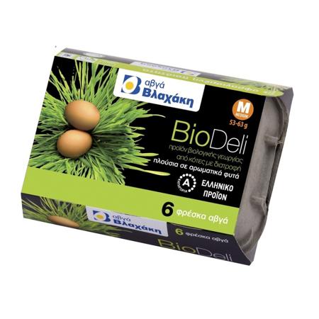 1e191d0a-35bb-417a-b400-22634e3a2cfa