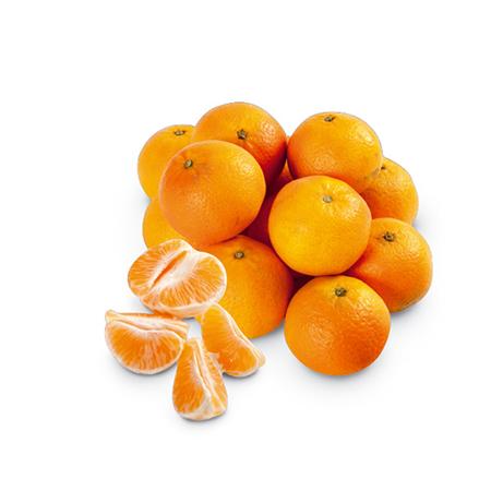 1f058c99-f3ef-4202-834a-1b1e948b319e