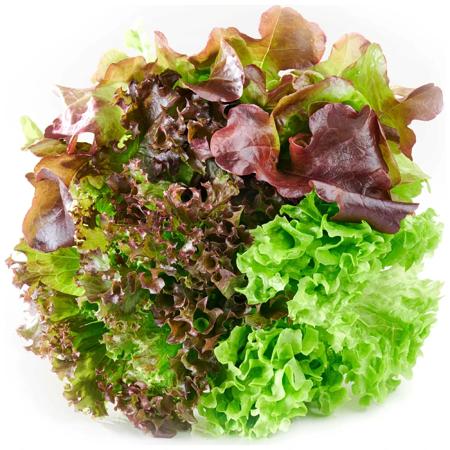 21780ba7-e699-4e66-bbce-fe7c9de32368