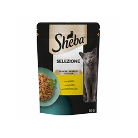 239d15c7-0188-42fe-95bb-0a0574b3e676