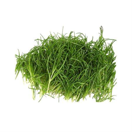 294513c4-100f-40ef-a6c8-543e9a1c2e10