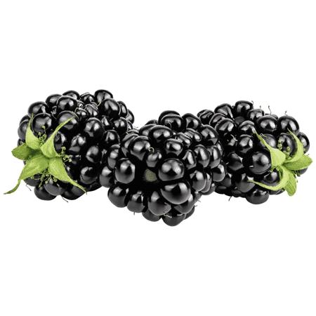 2b44d09b-c359-4ffa-8936-9b5b20e1dc0c