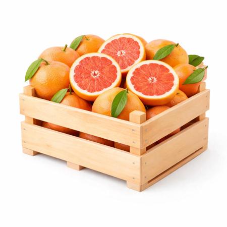 2c95a1bd-a7de-44b0-9e1a-eb11026ce74b