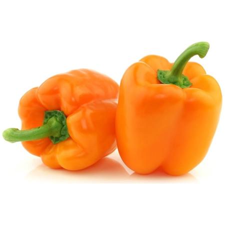 2d07ea16-0121-41e7-918b-59baa145275e