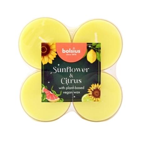 2e8c2764-f82c-4710-9117-9cfc5a607ad9