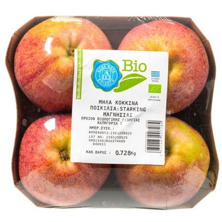 2efecfde-c541-4158-882d-a42bb1d45837