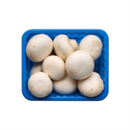 346d3f2b-91b2-4bab-8868-18168682d8a6