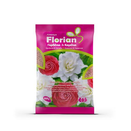 3c98f929-ef01-4588-b6a4-f802d98679c5