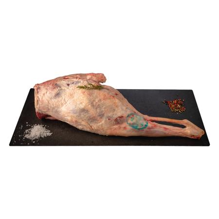 3d9fca4d-97e1-45ea-81a7-3b45077604c8