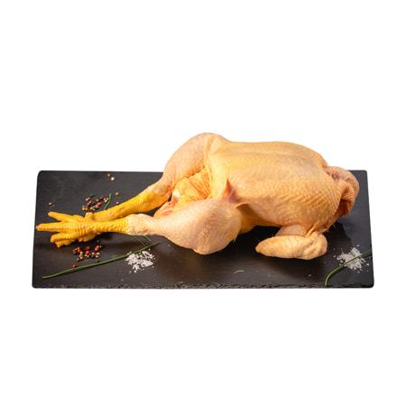 4224cb95-b525-4592-936d-ade73564ce61