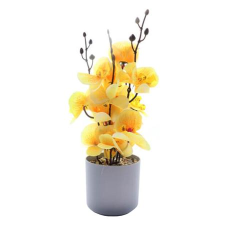 45f06477-058a-48a8-b83f-e08adbd7f0c8