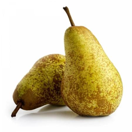 46a7bd69-56d6-43d4-9708-4d33021ef314