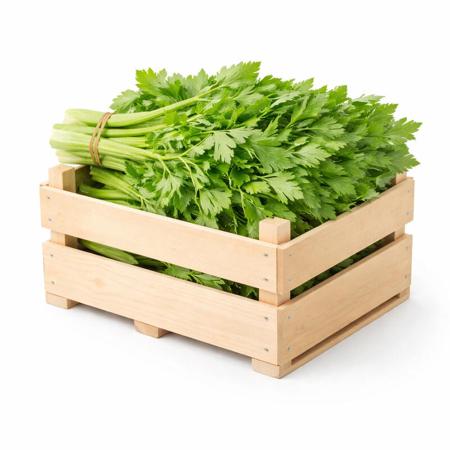 492178ff-c1f5-4310-8d04-037a11e94c33