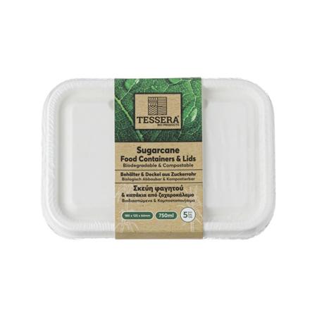 4db21b28-f3a4-4506-9de7-e5877322aee8