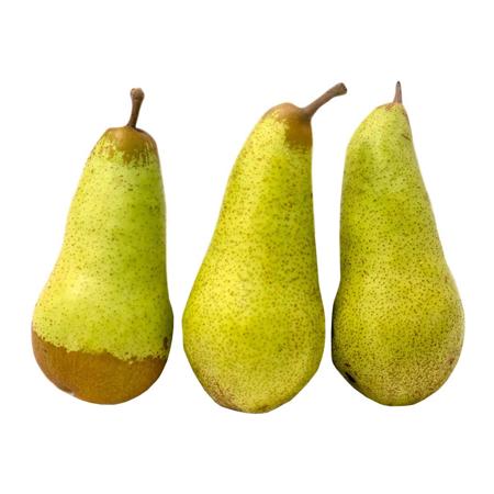 4efa534b-5715-43b3-81ce-52e4951a46e5