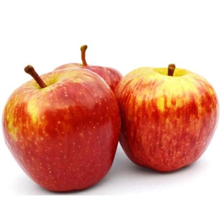 50cd1d66-1e04-4698-9f54-7fb0a15c63b5