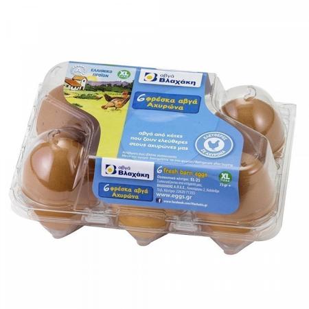 517cf033-6178-4f64-ab45-7c05fc123b64