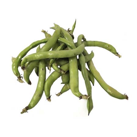 533138f1-17c7-44b4-9e81-7acc5fe37905