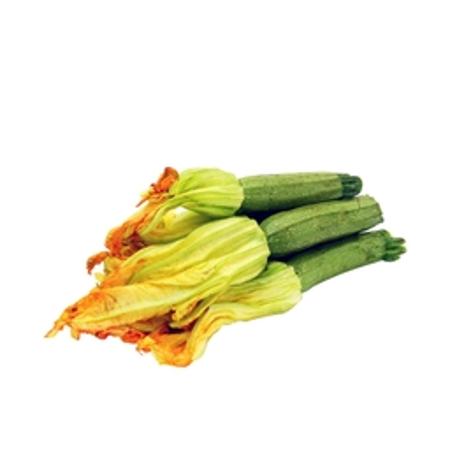 55143b80-e6d5-4870-b73c-1a8db16fc70c