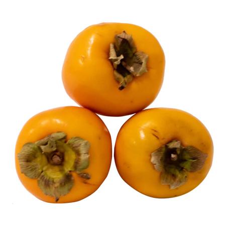 56eca677-bb2f-4909-b805-c00560c6b1a8