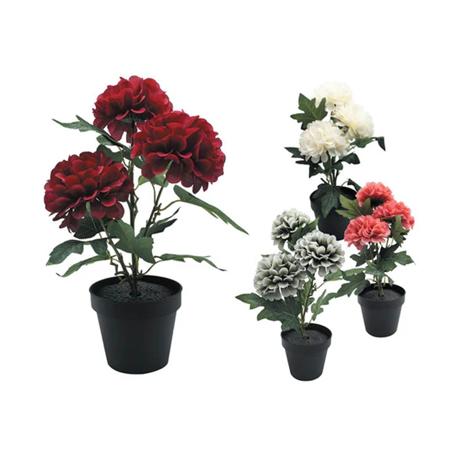 5741a4fa-0461-46f1-9186-0ffb98c59f95