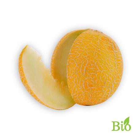 57ef8ef0-5fbf-4c69-943e-d1cf8f0b7171