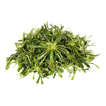 5bb5221c-3a5a-46b1-96a1-2c49eb3f078a