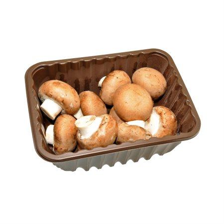 5ec9d24e-291a-444f-8a02-7b421e95db47