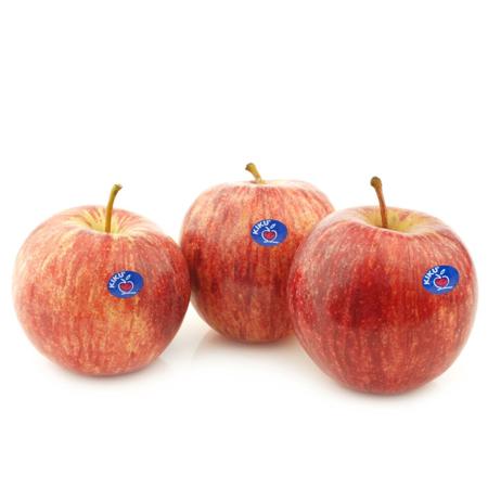 5f069ce3-6592-441c-9ee8-14b462932361