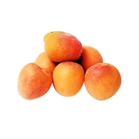 5f50c181-87eb-438d-9e31-e612b0b0a0b4