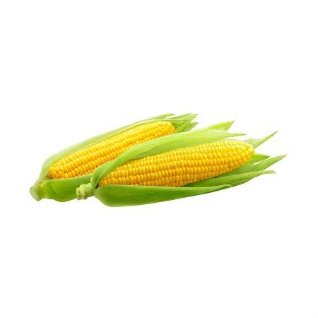 604215a3-e80f-4c2b-9fa4-fe93feebfa81