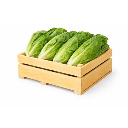 62443e45-cf01-4726-9197-dbcb22792955