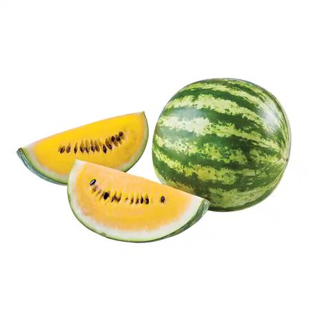 6382da0c-ad9e-468d-b7f9-f2712161669c