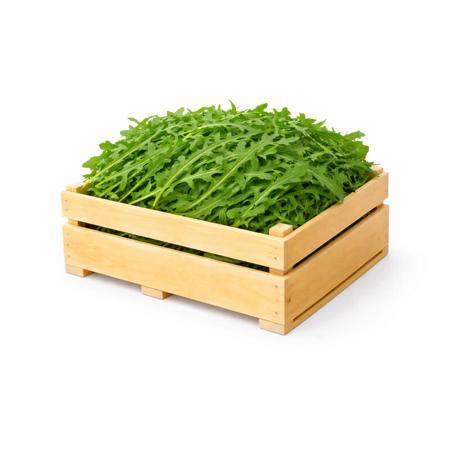 6a00dd41-71f0-4307-9b8d-e1b63c209b63