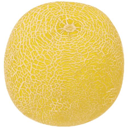 6ebf8f3c-25d6-4e2f-950d-20b86ee4e164