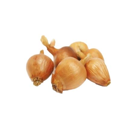 6f83d3c5-59d9-4df4-aeca-c529a03699cf