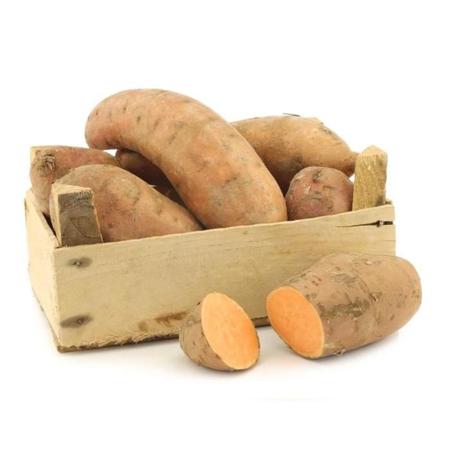 702c3114-d78a-4ff9-a654-2b7ebfe1037b