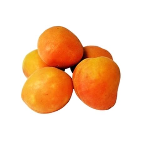 75cc60e1-adaf-4b4d-a3a9-2e8de3f3ad8a