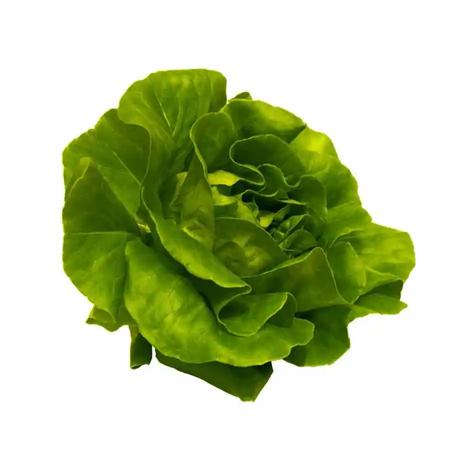 7977b175-f477-46be-9d69-370672681c33