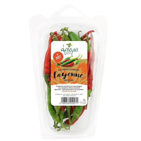 7c101e4a-67d0-4b2a-ad0b-3572f89e6f52