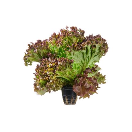 7d86bcd7-5c47-45a7-83fd-9406744c9c68