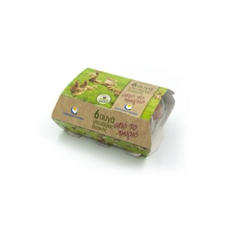 7df862a1-d2a3-487c-ad73-4fe4d7f79589