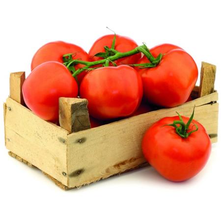 867b98a6-48b1-41fb-900c-5f8e856b2000