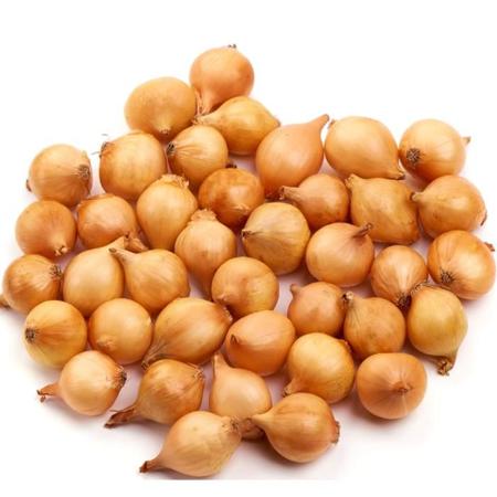 8e3ac81f-27d1-4d51-8860-430ed6b67c75